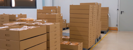 Durée de vie prolongée